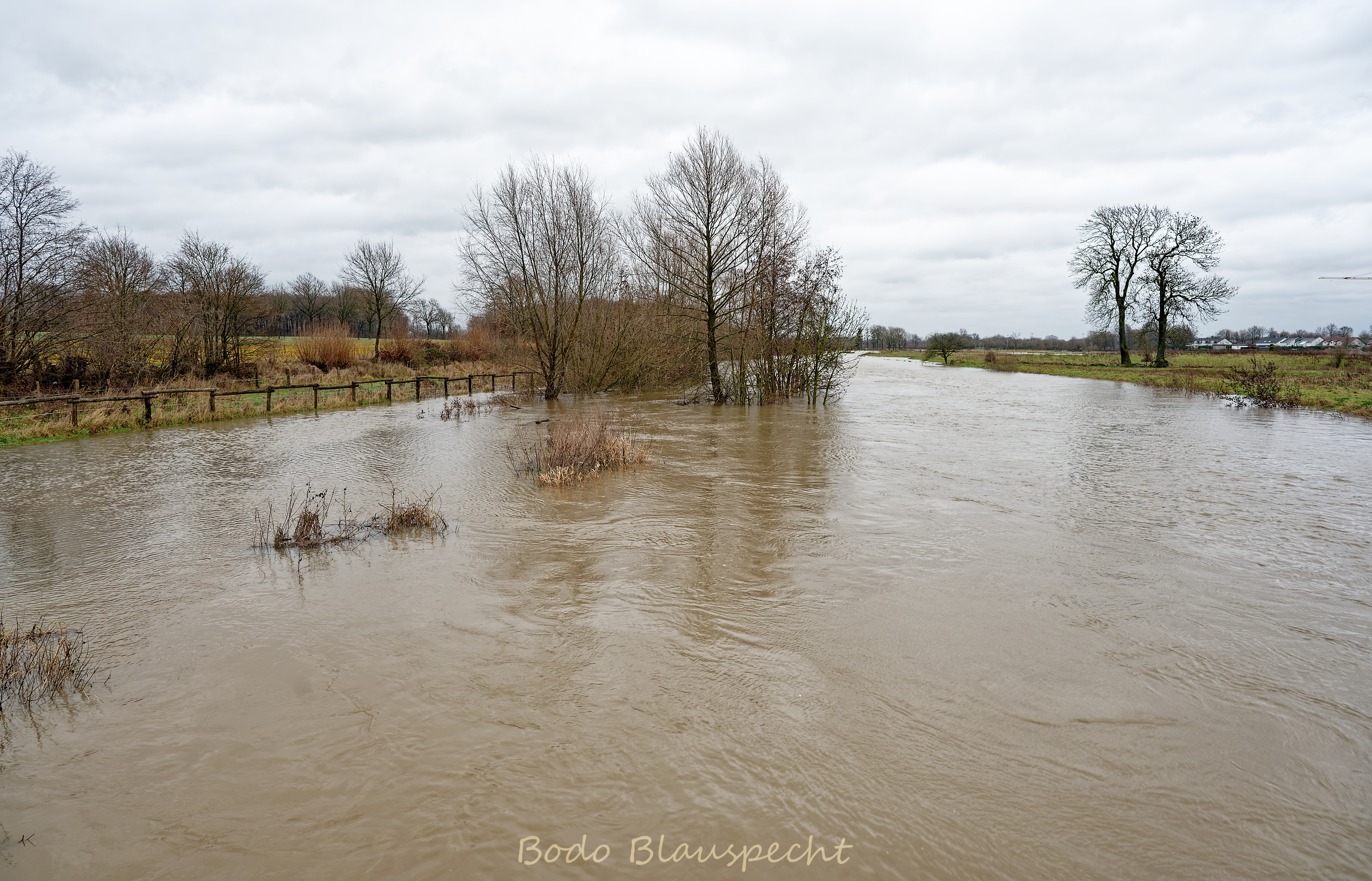 Hochwasser   Steveraue   2023.12.23 16.39 165 WEB